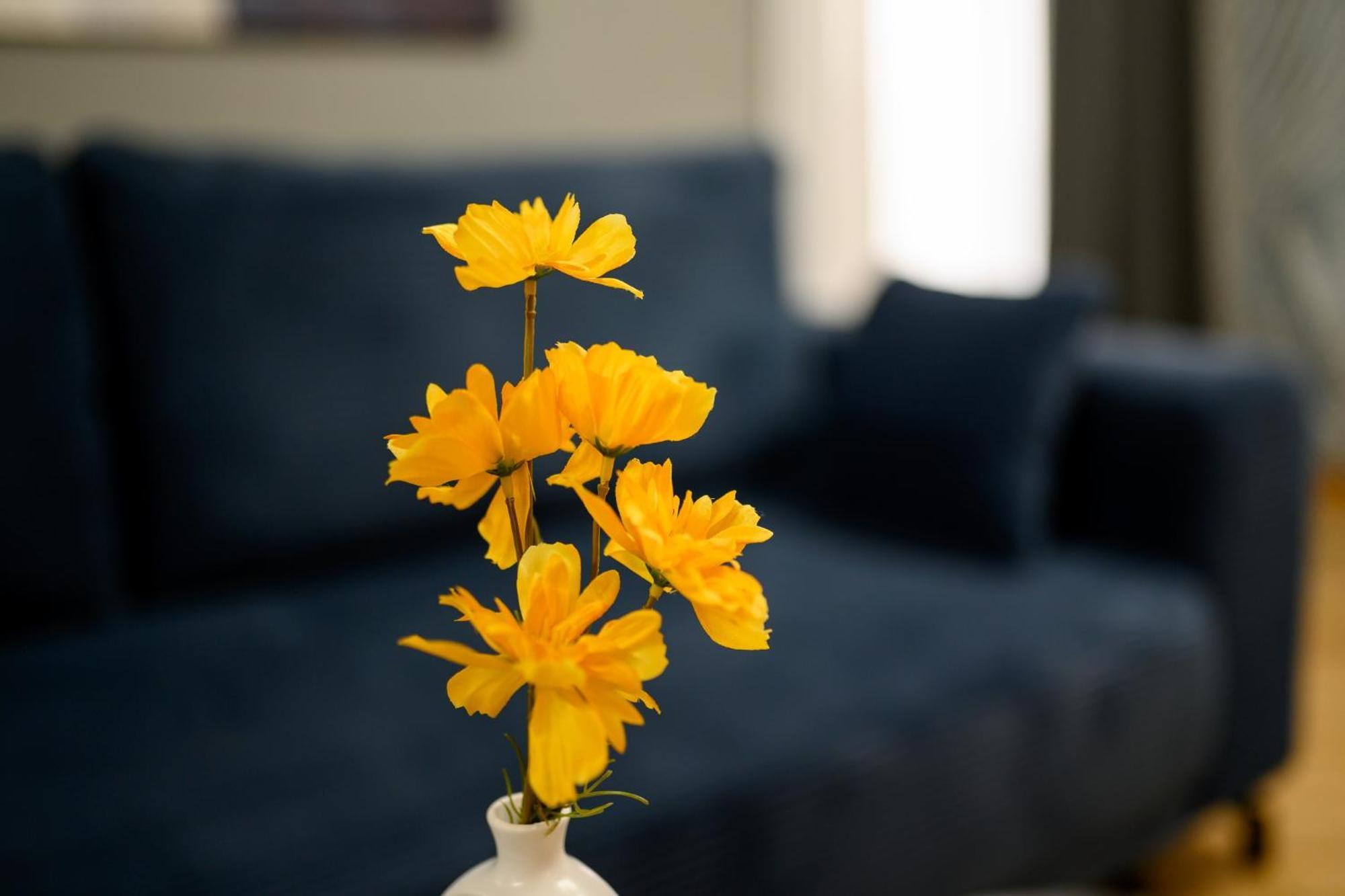 Cultural Gems- Modern 1br Near Museums 布加勒斯特